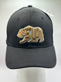Seq. Black Letters Bear