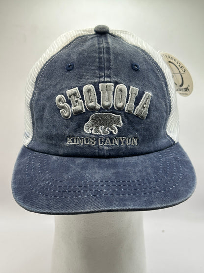 Seq. Acid Blue White Mesh