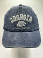 Seq. Acid Blue