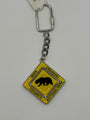 Bear Xing