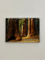 3D Trees