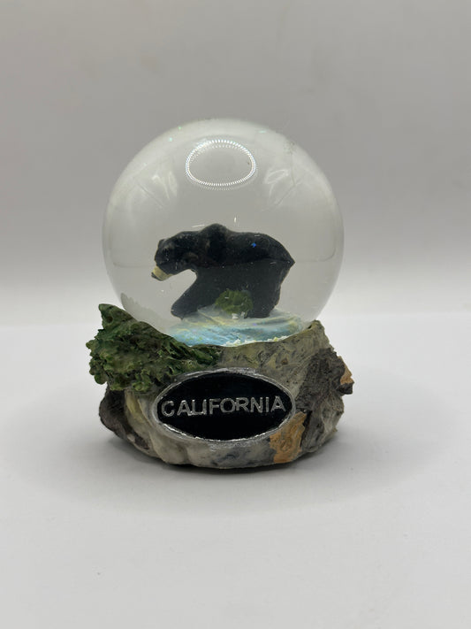 65mm Bear