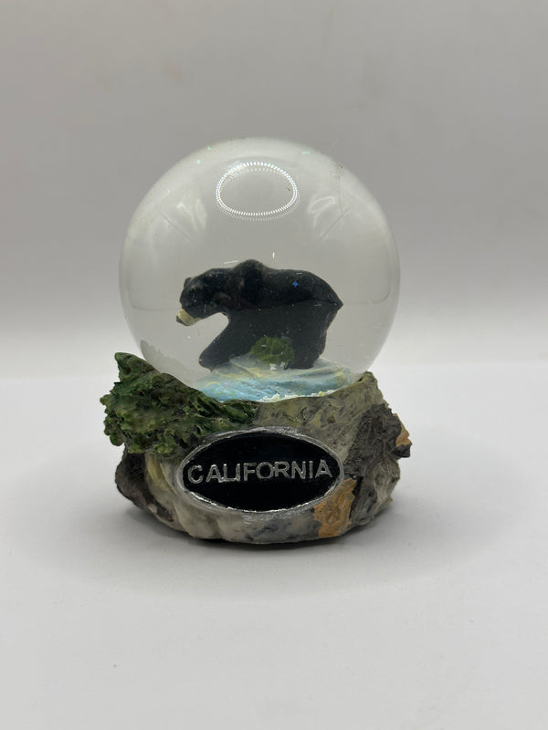 65mm Bear
