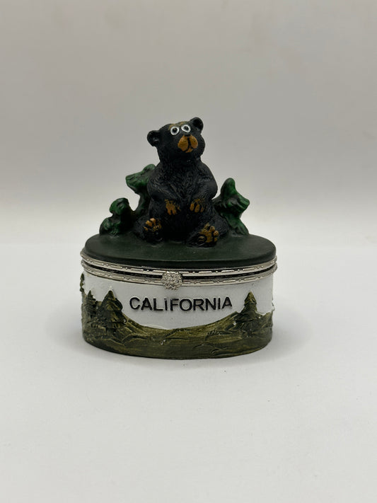 Sitting Bear