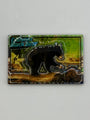 3D Black Bear