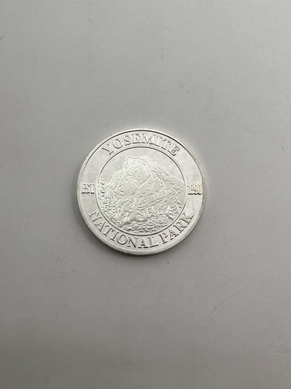 Silver Coin