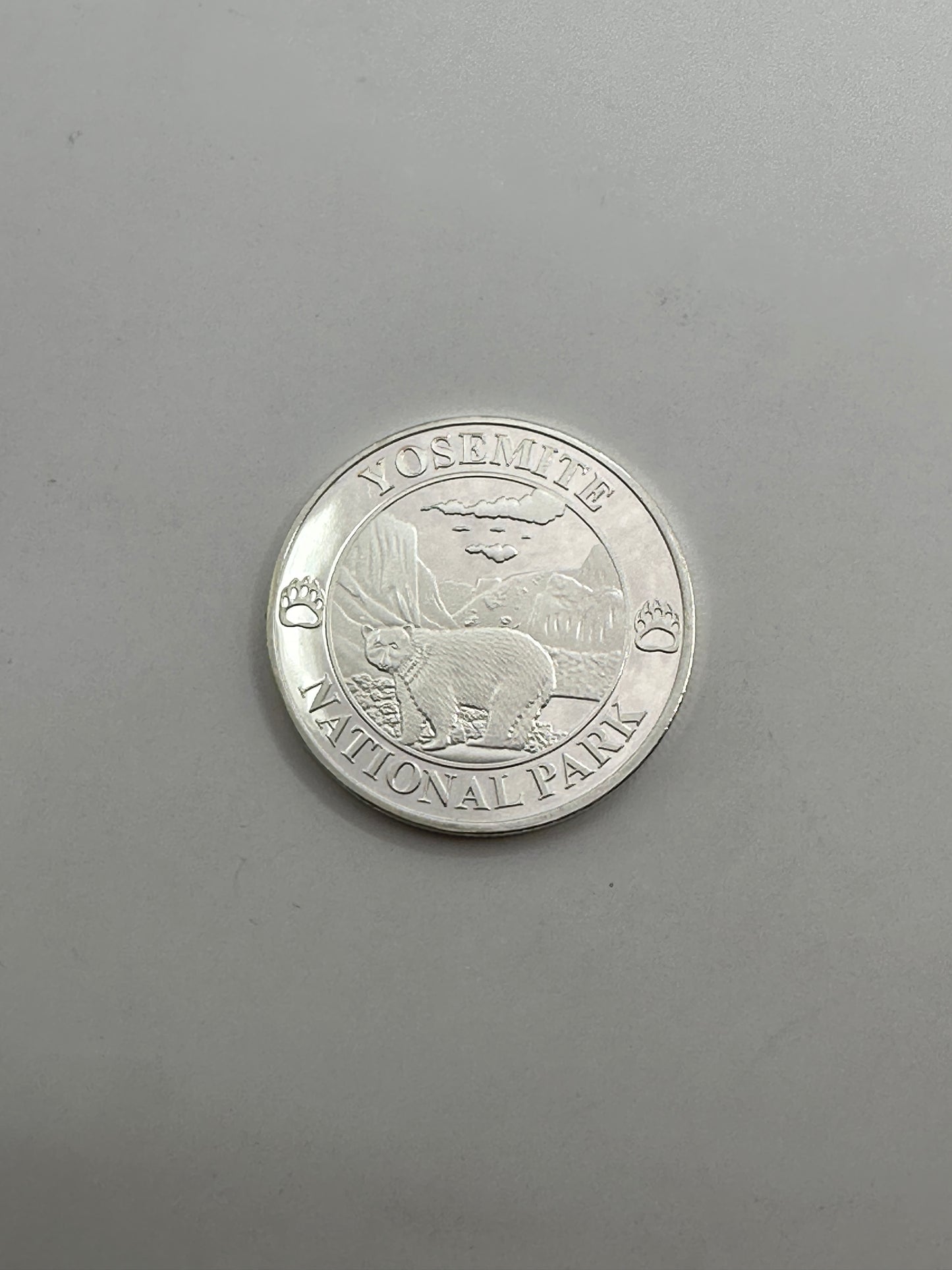 Silver Coin