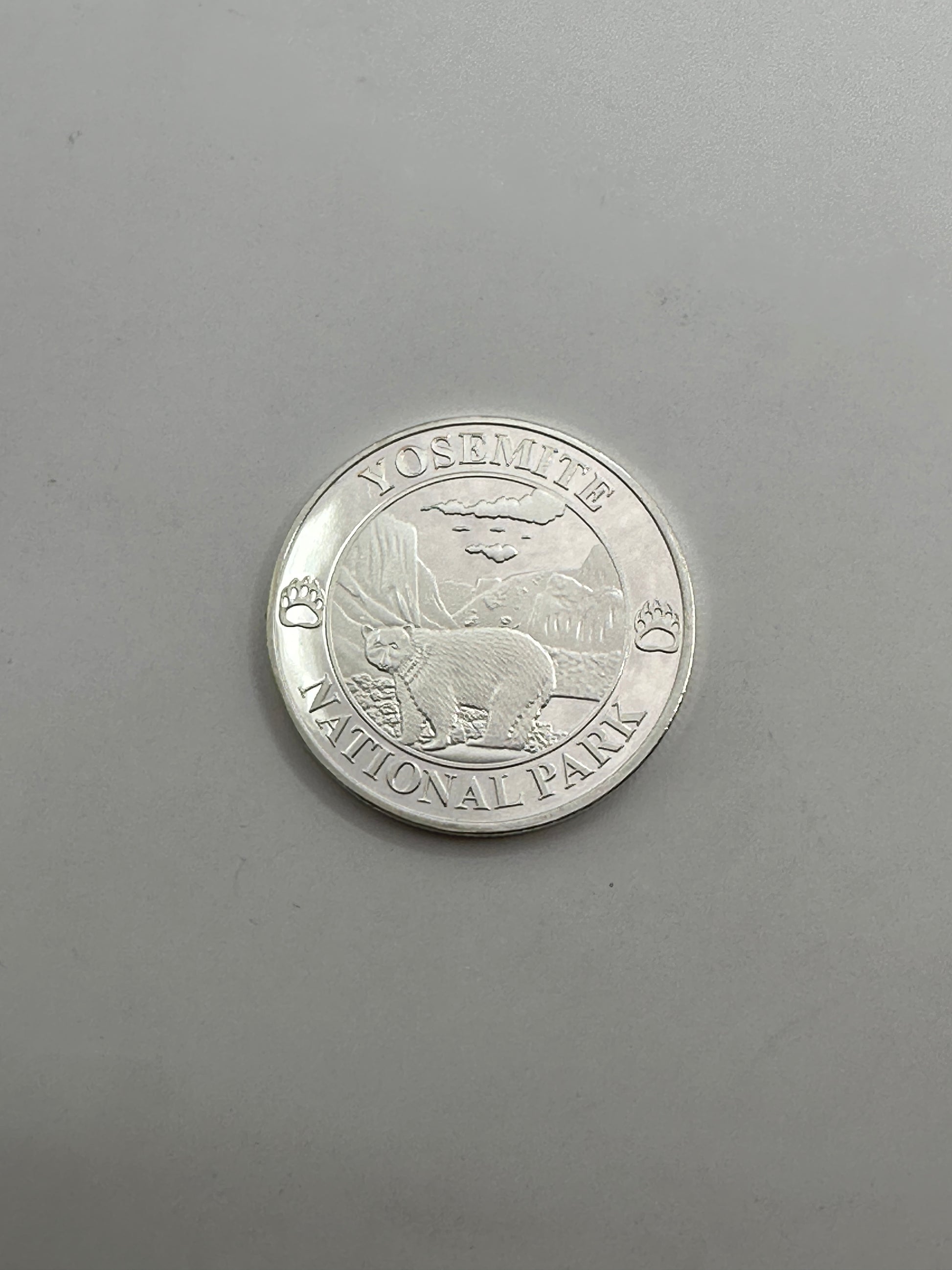 Silver Coin