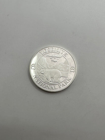 Silver Coin