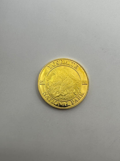 Gold Coin