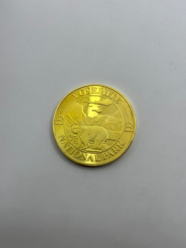 Gold Coin